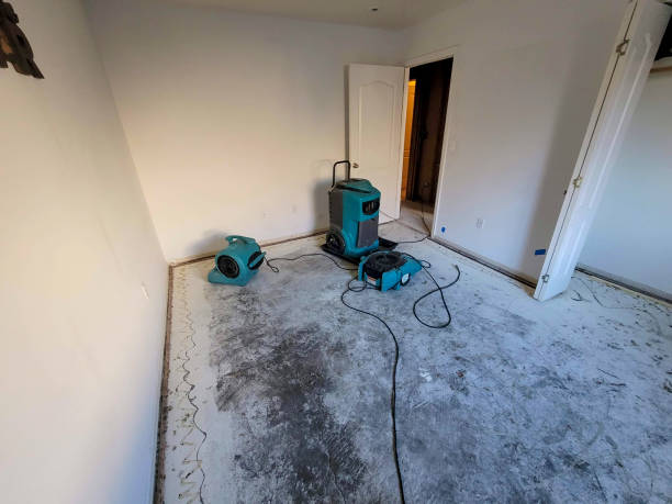 Best Residential water damage restoration  in Murillo, TX