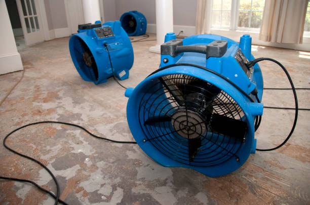 Best Flood restoration services  in Murillo, TX