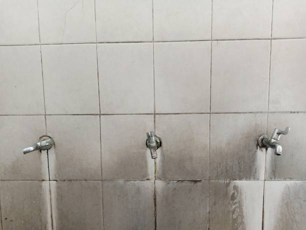 Professional Water damage restoration in Murillo, TX